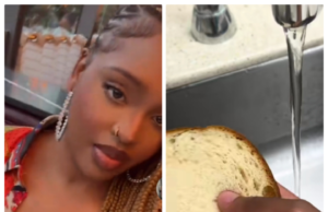 VIDEO: Woman Warns Americans Against Eating Bread As ‘Nature’s Own Bread’ Turns To Sponge Under Water